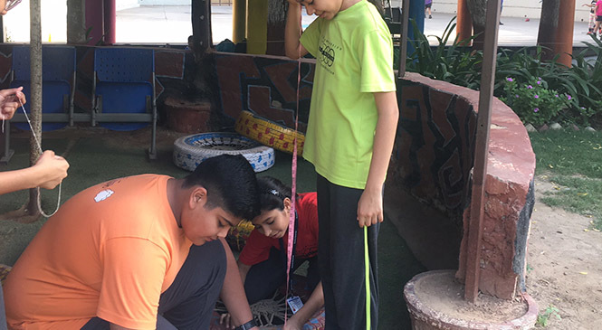 Class Activities - Ratio & Proportion