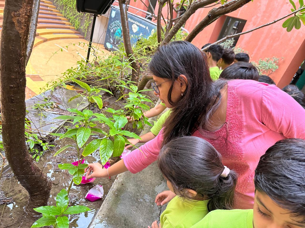Grade 1 ICSE  Make a Splash with Paper Boats