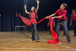 Grade 4 to 6 -  Annual function 