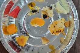 Expert Interventions by Parents